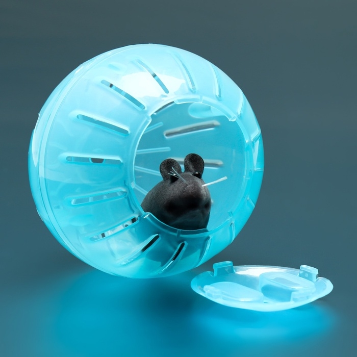 Шар для грызунов 10 см, голубой Шар для грызунов 10 см, голубой