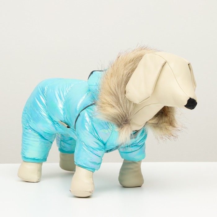 Комбинезон Комбинезон "Глянец", размер 8 (ДС 23, ОГ 30, ОГ 22), голубой