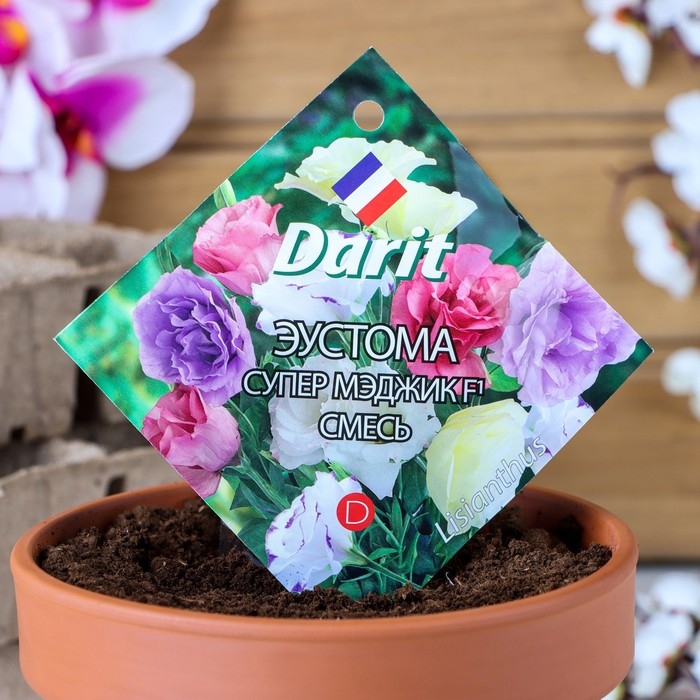 Семена цветов Эустома  Семена цветов Эустома "Супер Мэджик" F1 смесь, О, DARIT  8 шт