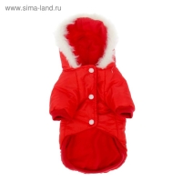 Куртка с капюшоном и мехом, размер XS (ОШ 22, ОГ 32, ДС 20 см), красная