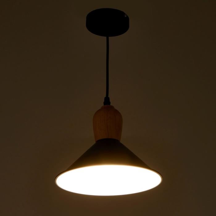 Светильник BayerLux 2034831/1 E27 40Вт черный 22х22х21 см