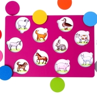 Развивающая игрушка «Секретики», МИКС