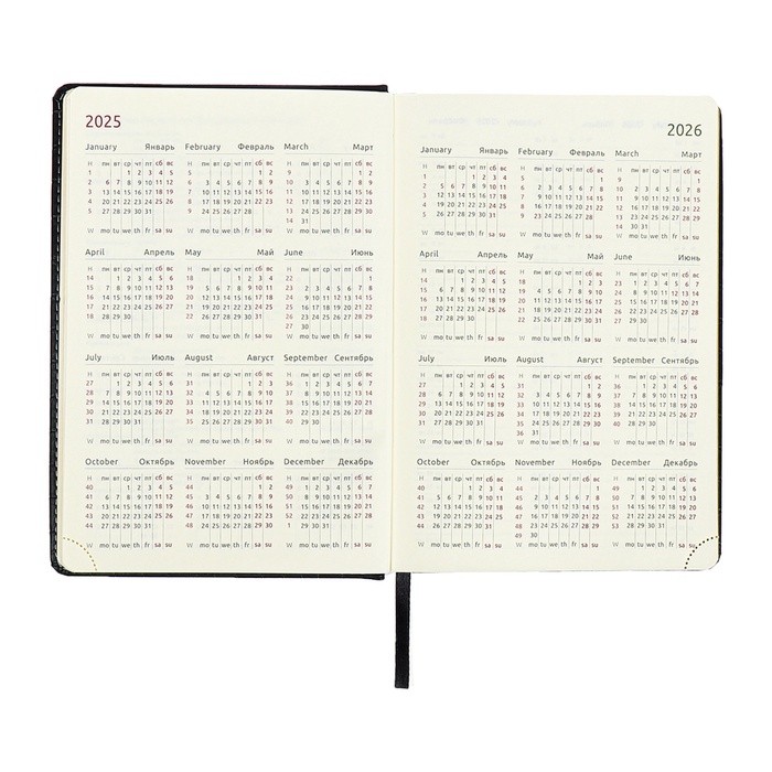 Ежедневник датированный 2024 A5 176 листов, deVENTE.Wild, твёрдая обложка из искусственной кожи, золотой срез, ляссе, кремовый блок 70 г/м2, чёрный