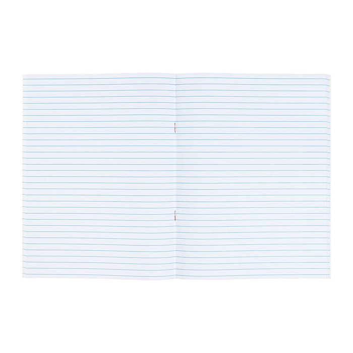 Тетрадь А4 80 листов в линию Calligrata Тетрадь А4 80 листов в линию Calligrata "Мрамор белый с золотым", обложка мелованный картон, блок №2, белизна 75% (серые листы)