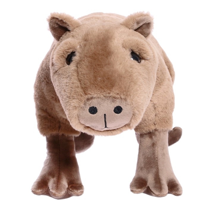 Мягкая игрушка «Капибара», 35 см Мягкая игрушка «Капибара», 35 см