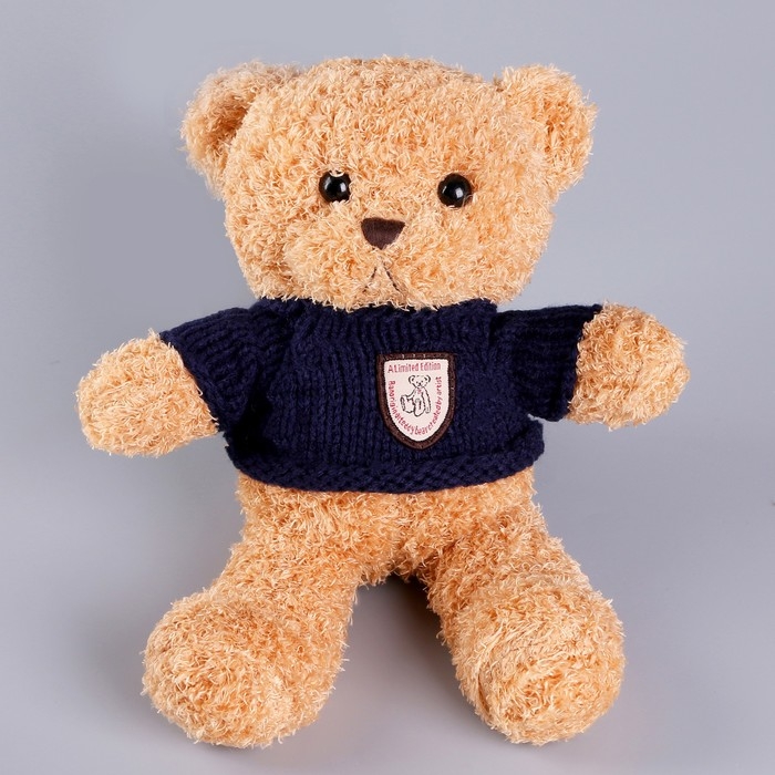 Мягкая игрушка «Медведь» в кофте, 28 см, цвет МИКС