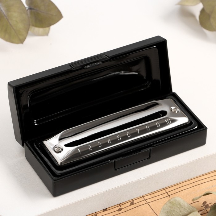 Губная гармошка Music Life T002 C диатоническая, 10 отверстий, с футляром Губная гармошка Music Life T002 C диатоническая, 10 отверстий, с футляром