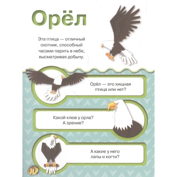 Карточки с дополненной реальностью «Животные 4D» Карточки с дополненной реальностью «Животные 4D»