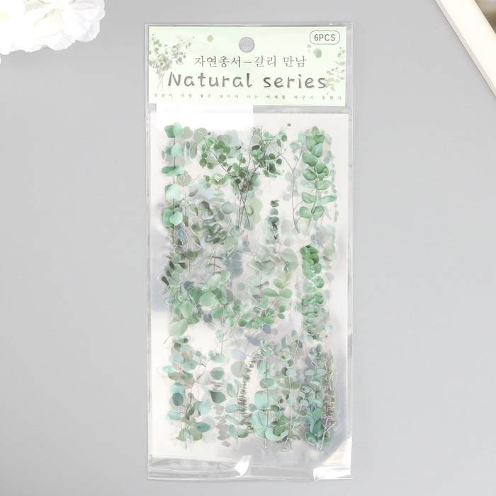 Наклейки пластик Наклейки пластик "Эвкалипт" набор 6 листов 10х18 см