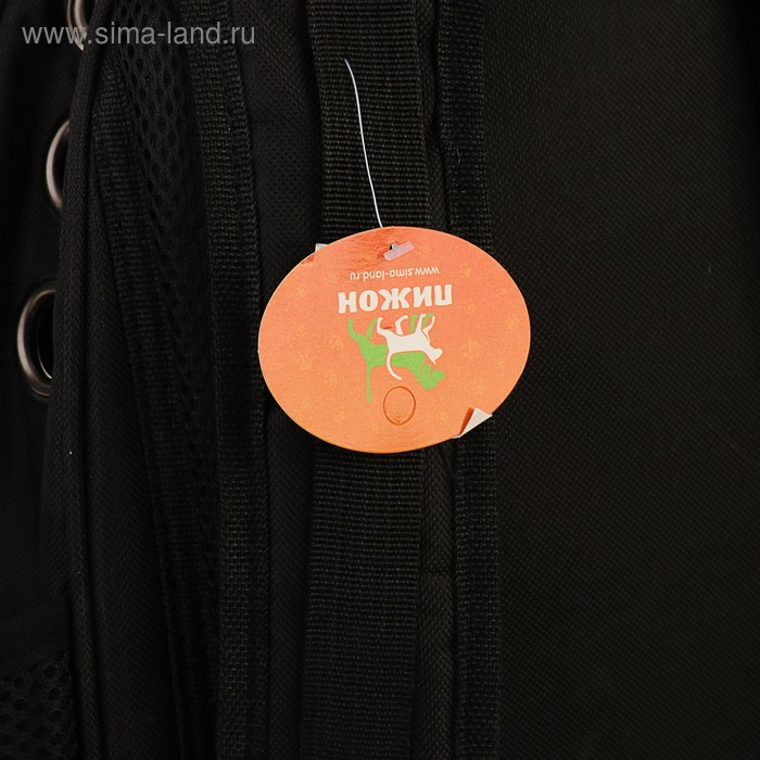 Рюкзак для переноски кошек и собак  Рюкзак для переноски кошек и собак "Бабочка", с окном, 32 х 26 х 44 см, голубой