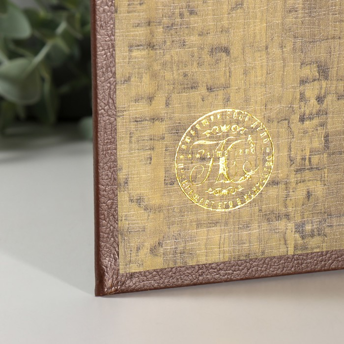 Сейф книга  Сейф книга "Тайная бухгалтерия" кожзам 21х13х7 см