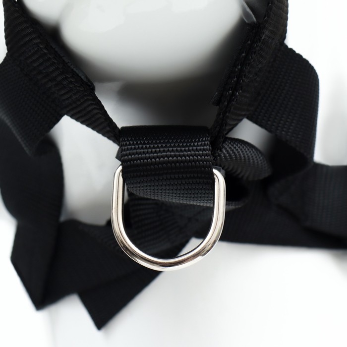 Недоуздок-намордник для собак строгий, размер XL, ОM  23-34 см, ОШ 20-28 см, черный Недоуздок-намордник для собак строгий, размер XL, ОM  23-34 см, ОШ 20-28 см, черный