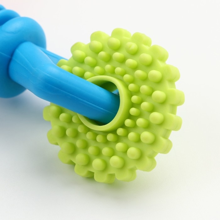 Игрушка жевательная Игрушка жевательная "Всегда вместе!", TPR, 18,5 см, круг/конфета/шестерёнка