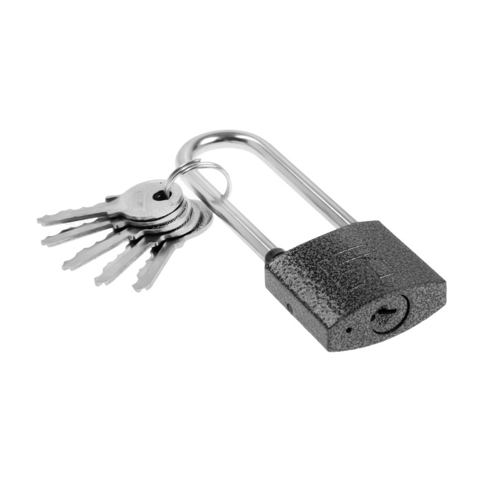 Замок навесной Замок навесной "АЛЛЮР" ВС1Ч-330Д, длинная дужка d=5 мм, 5 ключей