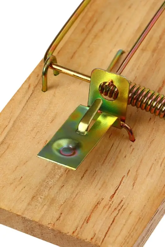 Мышеловка, 9.8×4.7 см, дерево, Greengo Мышеловка, 9.8×4.7 см, дерево, Greengo