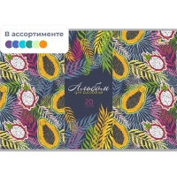 Альбом для рисования 20л А4 обл.картон,в асс.С0218