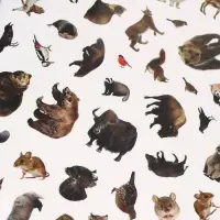 Stickerbook Animals  500stickers inside