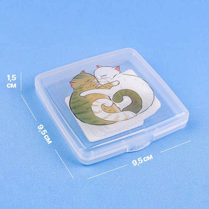 Органайзер для хранения гигиенических принадлежностей «Котики», 9.5×9.5×1.5 см, прозрачный