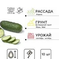 Семена Огурец &laquo;Зозулёнок&raquo;, F1, 10 шт., &laquo;Гавриш&raquo;
