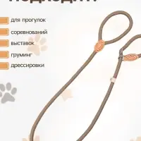 Ринговка для собак, 150&times;1 см, бежевая