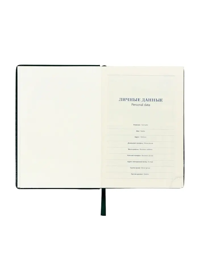 Ежедневник датированный Calligrata, А5, 2026, твёрдая обложка из искусственной кожи &laquo;Небраска&raquo;, 168 листов, зелёный
