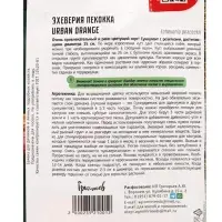 Семена цветов Эхеверия пекокка Urban Orange, 5 драже &laquo;Григорьев&raquo;