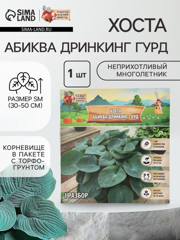 Хоста «Абиква Дринкинг Гурд», корневище в пакете с торфогрунтом, р-р I, 1 шт.