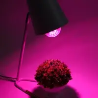 Фитолампа для растений VKL Electric, A65, 10 Вт, E27, IP20, красно-синий спектр