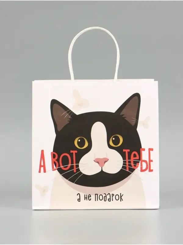 Пакет подарочный крафтовый &laquo;А вот подарок&raquo;, 22&times;22&times;11 см