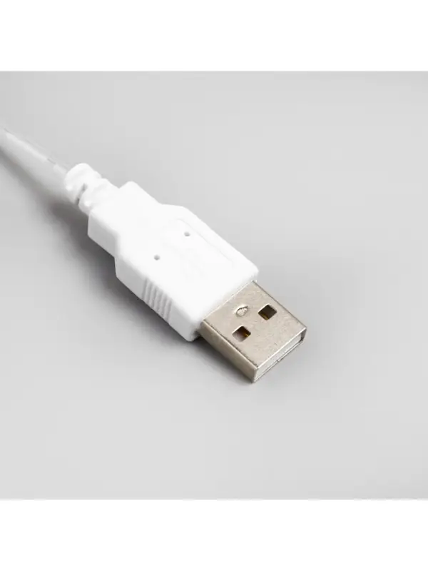 Гирлянда &laquo;Конский хвост&raquo; 8 нитей по 2 м, IP20, серебристая нить, 160 LED, свечение тёплое белое, USB