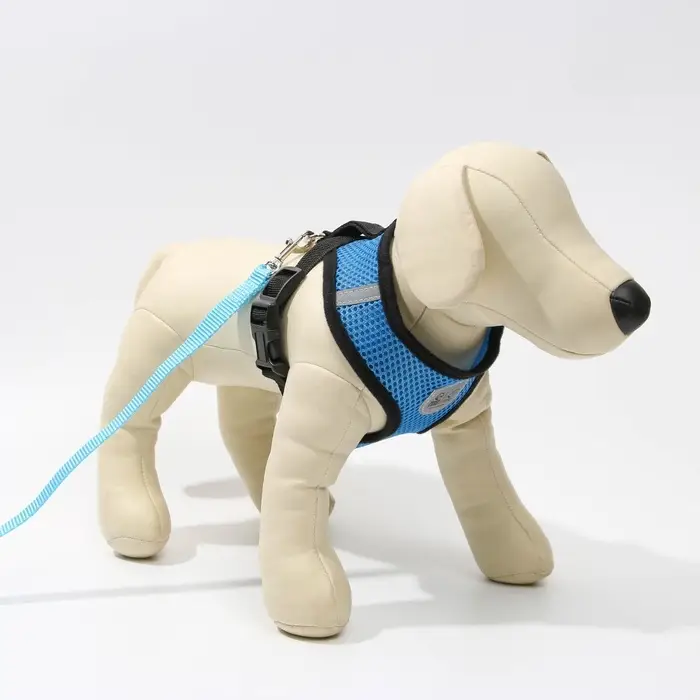 Шлейка дышащая с поводком и светоотражающей нашивкой, M, ОШ 33, ОГ 32-43, синяя Шлейка дышащая с поводком и светоотражающей нашивкой, M, ОШ 33, ОГ 32-43, синяя