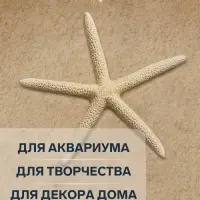 Морская звезда декоративная, 10-16 см