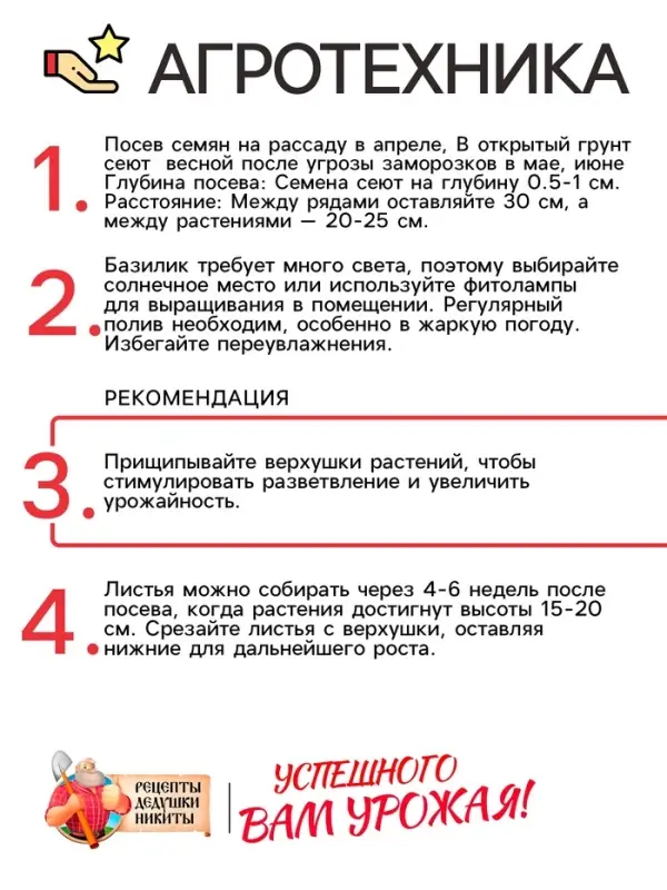 Семена Базилик &laquo;Зелёный ароматный&raquo;, 0.1 г, среднеранний, &laquo;Рецепты дедушки Никиты&raquo;