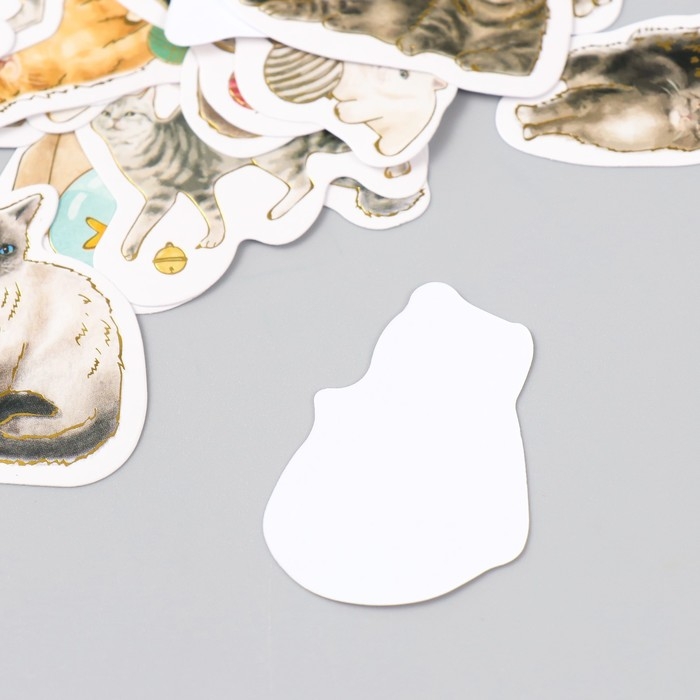Наклейки для творчества "Породы кошек" тиснение золото набор 48 шт 9х7х0,8 см