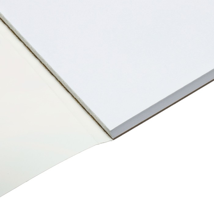 Альбом для рисования А4, 60 листов на склейке Альбом для рисования А4, 60 листов на склейке "Погоня", обложка мелованный картон, твёрдая подложка, блок офсет 100г/м2