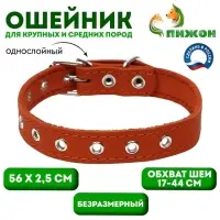 Ошейник однослойный, безразмерный, 56&times;2.5 см, ОШ 17-44 см, кожа, оранжевый