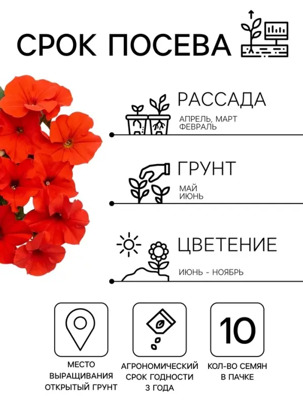 Семена цветов Петуния суперкаскадная &laquo;Красная шапочка&raquo; F1, 10 шт.