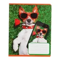 Комплект тетрадей из 10 штук, 12 листов в косую линию Calligrata "СелфиDOG", обложка мелованная бумага, ВД-лак, блок №2, белизна 75% (серые листы), 5 видов по 2 штуки