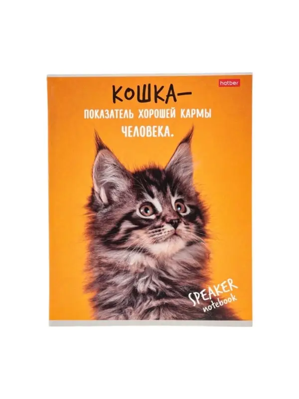 Тетрадь 40л А5ф кл 60-65г/кв.м на скобе Обл. мел.картон  серия -Кот говорит!- МИКС