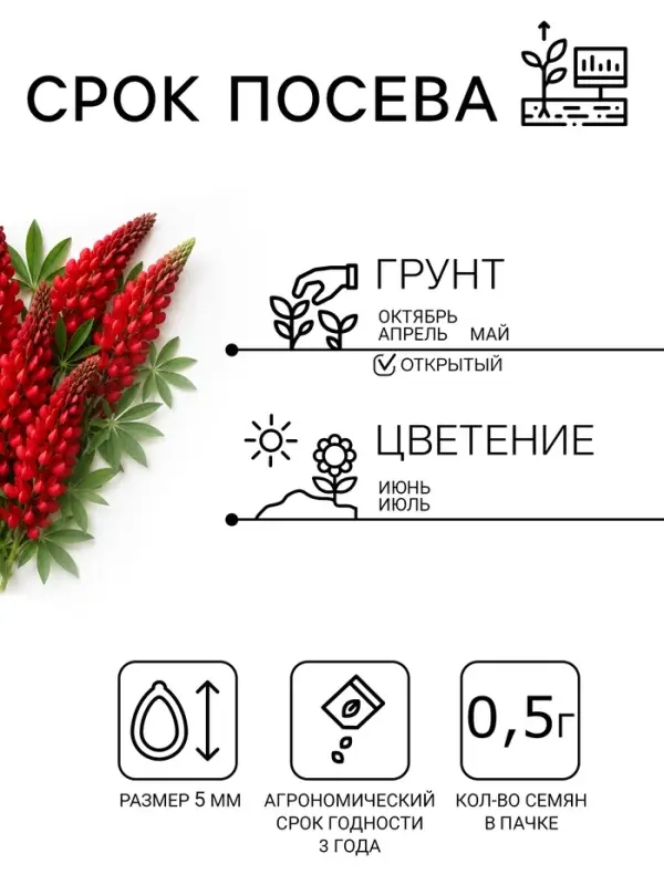 Семена цветов Люпин "Красное пламя", ц/п,  0,5 г