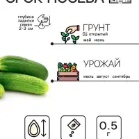 Семена Огурец «Феникс», пчелоопыляемый, среднеспелый, 0.5 г