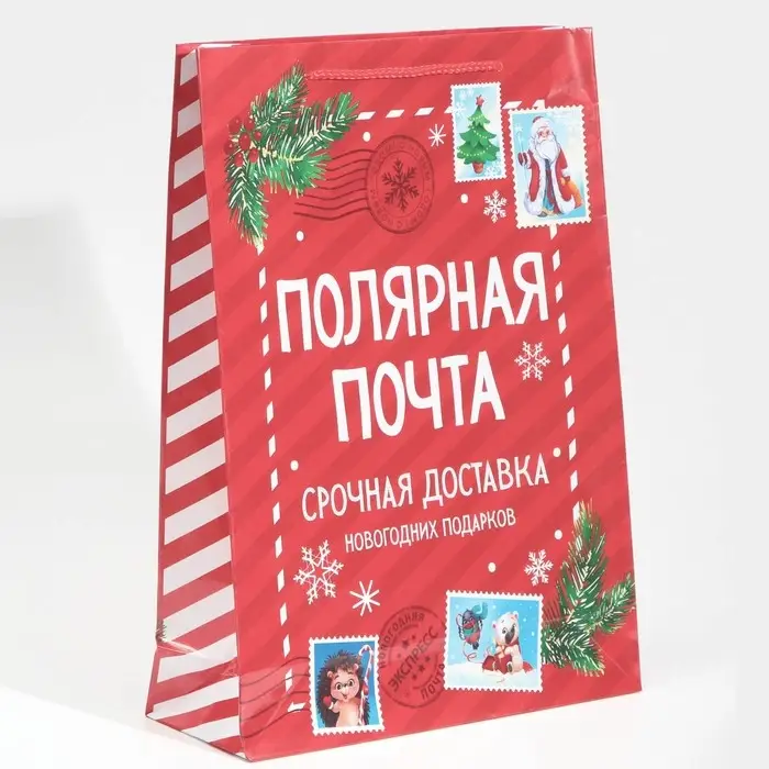 Пакет подарочный новогодний ламинированный «Полярная почта», L 28 х 38 х 9 см Пакет подарочный новогодний ламинированный «Полярная почта», L 28 х 38 х 9 см