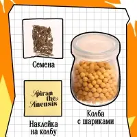 Набор для опытов &laquo;Выращиваем травку&raquo;, своими руками, оранжевый