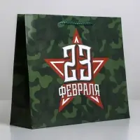 Пакет подарочный ламинированный, упаковка, «С 23 февраля», ML 25 х 21 х 8 см
