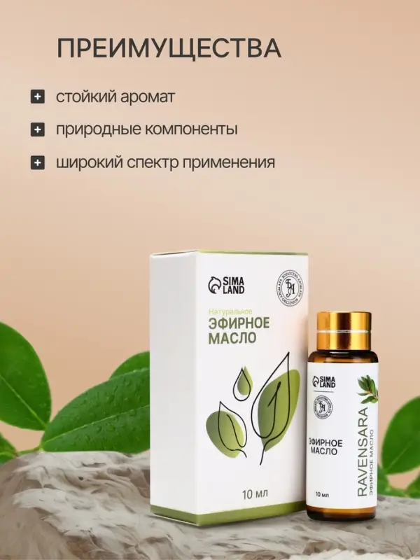 Эфирное масло &laquo;Равенсара&raquo;, 10 мл, с пипеткой