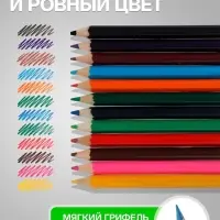 Карандаши Calligrata, цветные, 12 цветов, мини