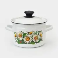 Кастрюля эмалированная, 2 л, с крышкой, деколь МИКС, белая