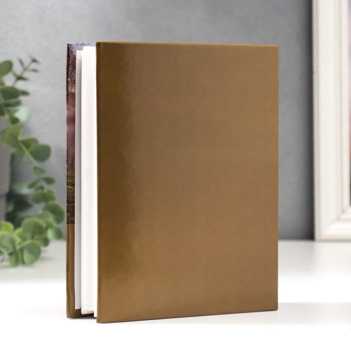 Фотоальбом на 100 фотографий Фотоальбом на 100 фотографий "Ландшафт-5" 10x15 см МИКС