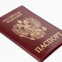 Обложка для паспорта, с гербом, тиснение фольгой, гладкая, бордовая