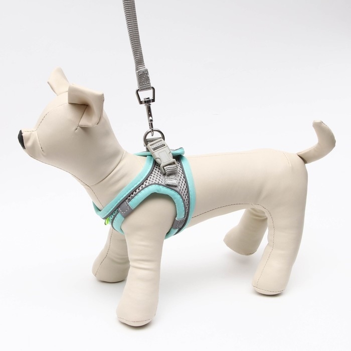 Комплект с мягкой шлейкой, быстросъемный, XS, поводок 150 х1,5 см, ОШ 29-32 ОГ 31-34 см, бирюзовый Комплект с мягкой шлейкой, быстросъемный, XS, поводок 150 х1,5 см, ОШ 29-32 ОГ 31-34 см, бирюзовый